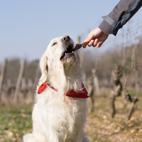 Peaux de Cerf - friandise de mastication occupation pour chiens