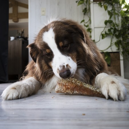 Peaux de truite - friandises de mastication pour chiens et chats