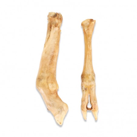 Pieds de mouton - friandise de mastication pour chiens