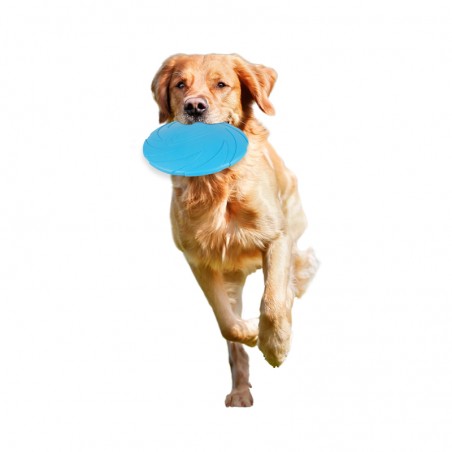 Frisbee - jouet pour chiens