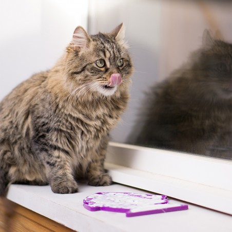 LickiMat Casper - Tapis de léchage occupation pour chiens et chats