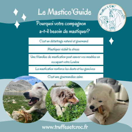 Mastico'Guide - Guide sur les friandises de mastication